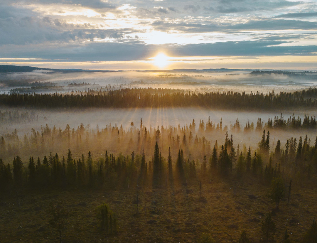 ruka-kuusamo_6_2019_keskiyonaurinko_amslebrun (1).jpg