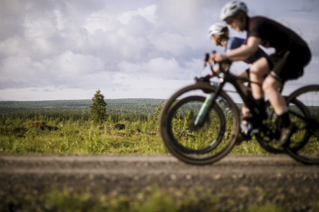 rukakuusamo_lapland_finland_gravel_PhilipGale (22).jpg